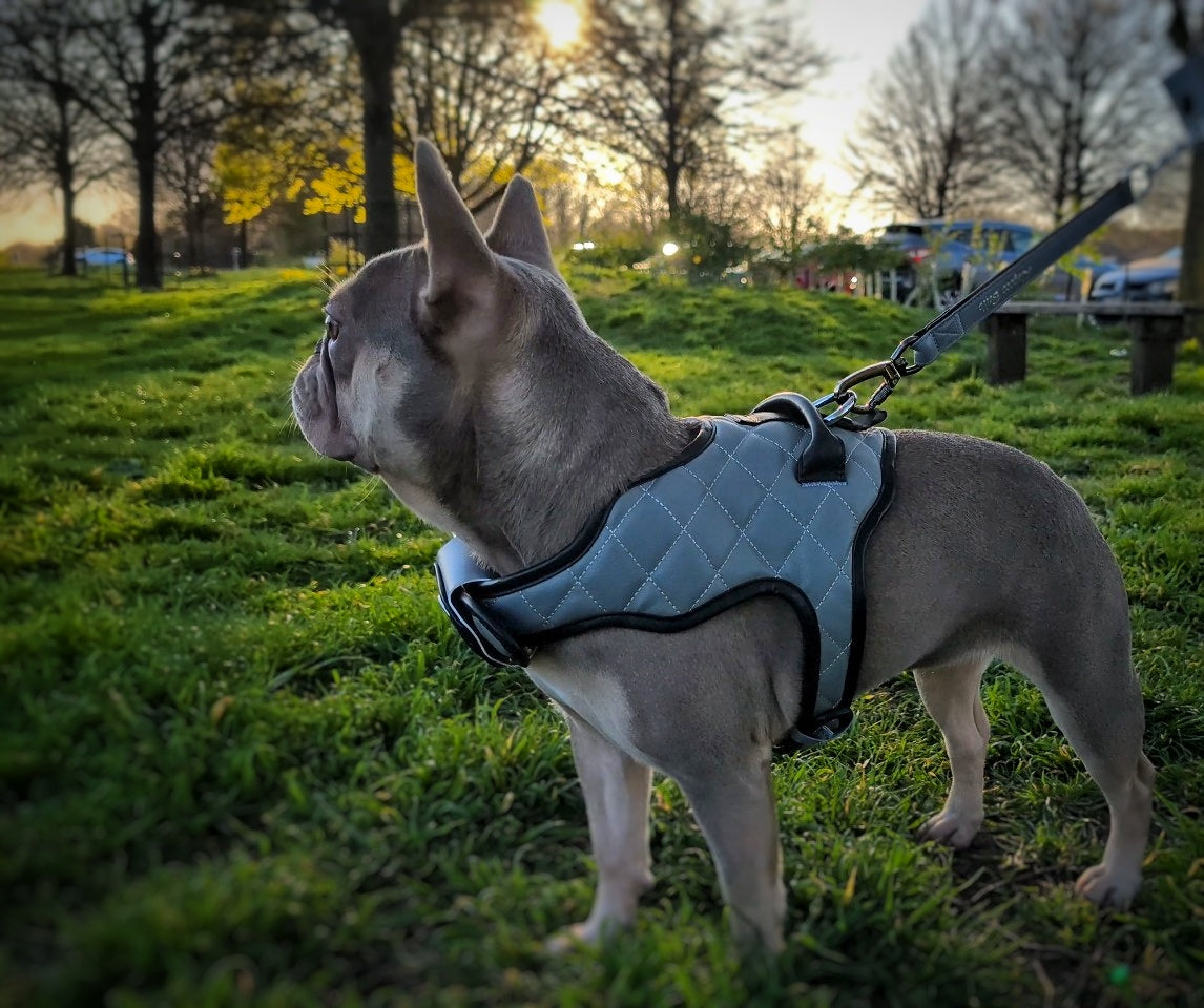 Luxury Grey